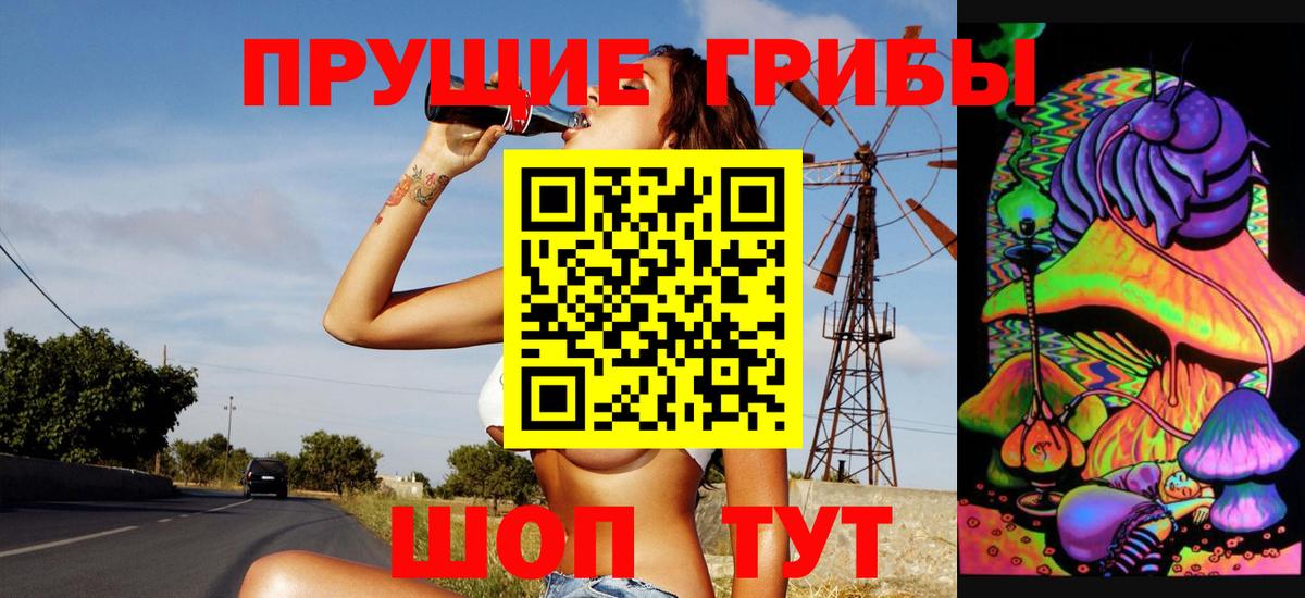 Псилоцибиновые грибы GOLDEN TEACHER  сколько стоит  Ртищево  Вход с VPN  Псилоцибиновые грибы Magic Shrooms 