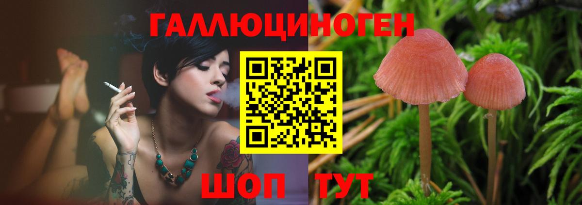 Псилоцибиновые грибы мухоморы Ртищево